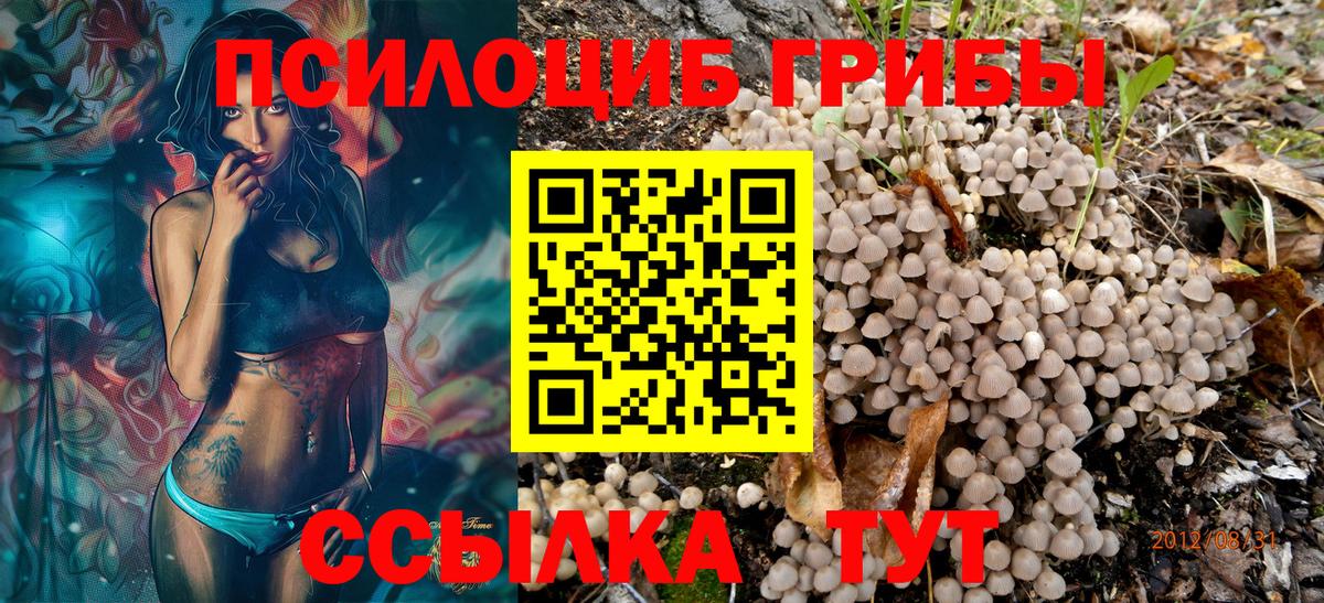 Железноводск  Псилоцибиновые грибы мухоморы  Вход с VPN 